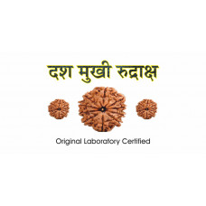 10 Mukhi Rudraksh (2.0)